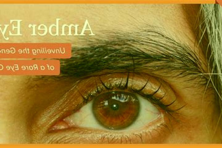 Willow, 36, a red amber-eyed mediterranean companion based in Valea Argovei. Offering Girlfriend Experience, Prostate Massage, Striptease, Fetish. Available ...