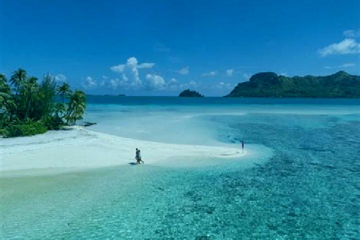 Willow, 36 — Escort in Arue, French Polynesia