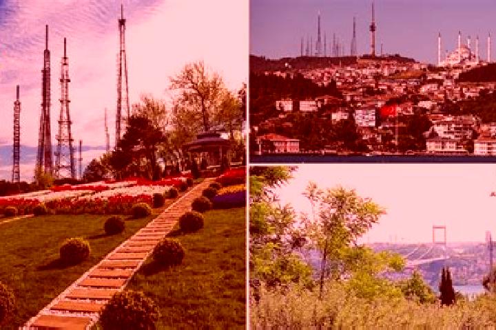 Willow, 36 — Escort in Camlica, Turkey