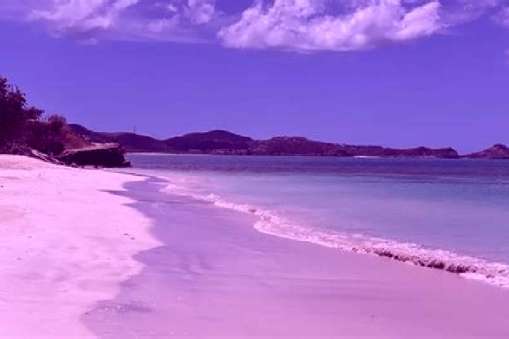 Willow, 36 — Escort in Carlisle, Antigua and Barbuda