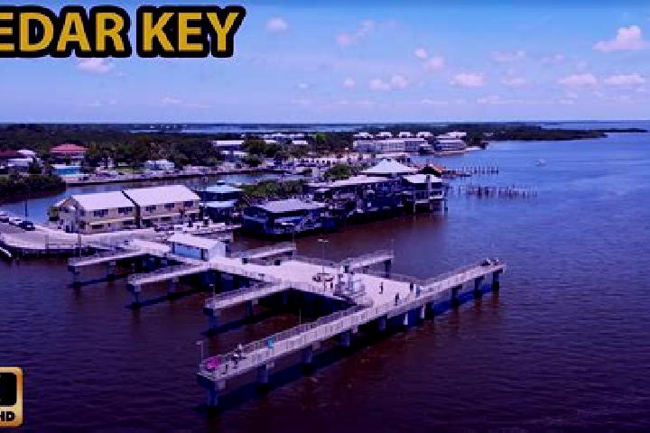 Willow, 36 — Escort in Cedar Key, United States