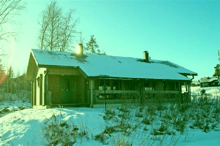 Willow, 36 — Escort in Koivula, Finland