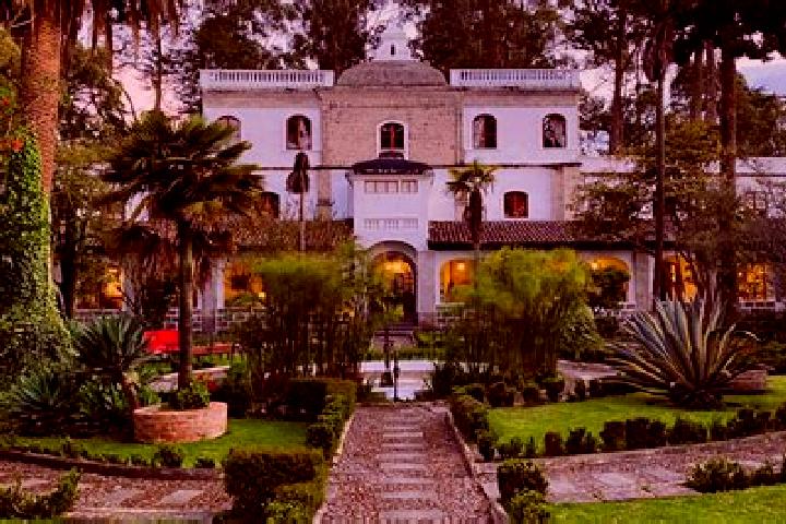Willow, 36 — Escort in La Penuela, Mexico