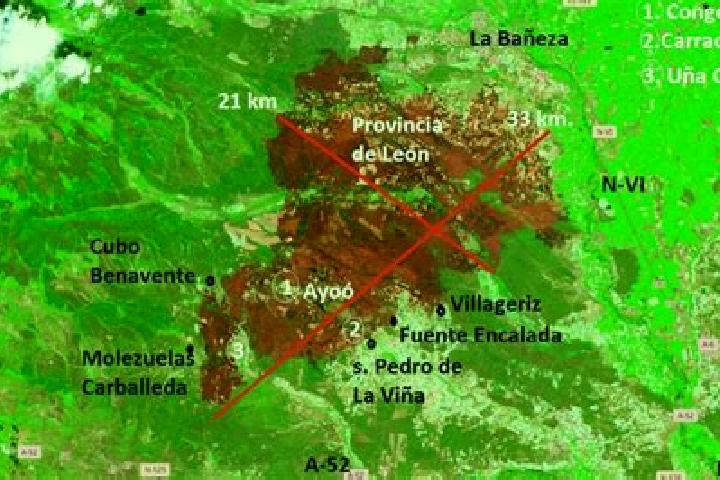 Willow, 36 — Escort in Molezuelas de la Carballeda, Spain