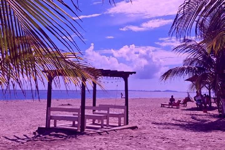 Willow, 36 — Escort in Omoa, Honduras