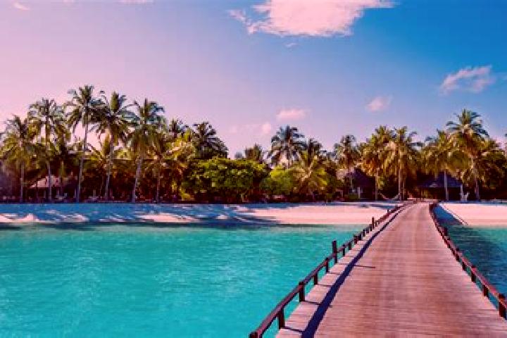 Willow, 36 — Escort in Papao, French Polynesia