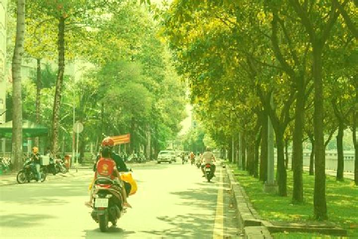 Willow, 36 — Escort in Quan Hoa, Vietnam