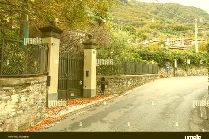 Willow, 36 — Escort in San Colombano Belmonte, Italy