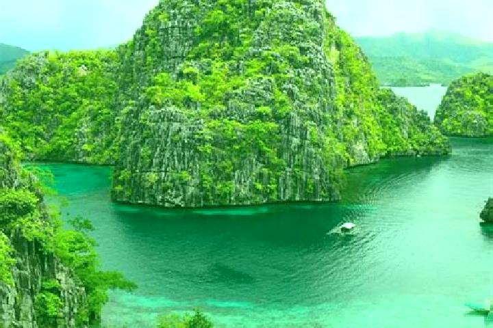 Willow, 36 — Escort in Siguinon, Philippines