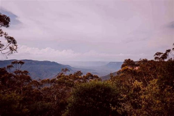 Willow, 36 — Escort in Wentworth Falls, Australia