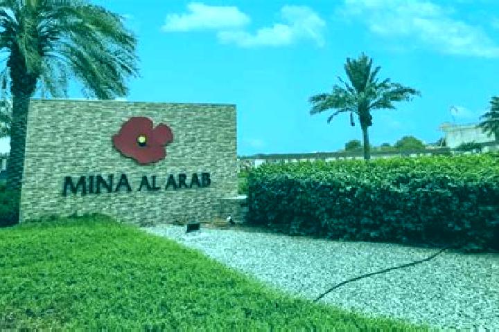 Willow, 37, a black grey-eyed caribbean companion based in Ras Al Khaimah. Offering 69, Erotic Massage, Massage. Available for incall and outcall, day and ev...