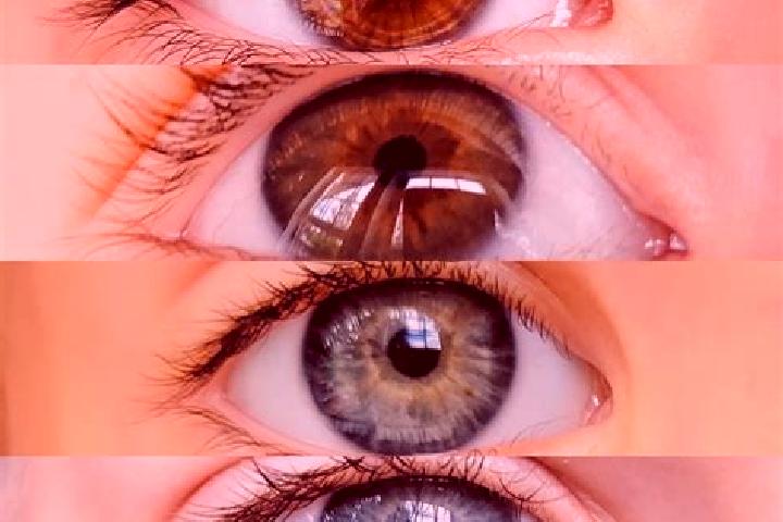 Willow, 37, a chestnut brown-eyed middle eastern companion based in Gumia. Offering OWO, Massage, Duos. Available for incall and outcall, overnight bookings ...