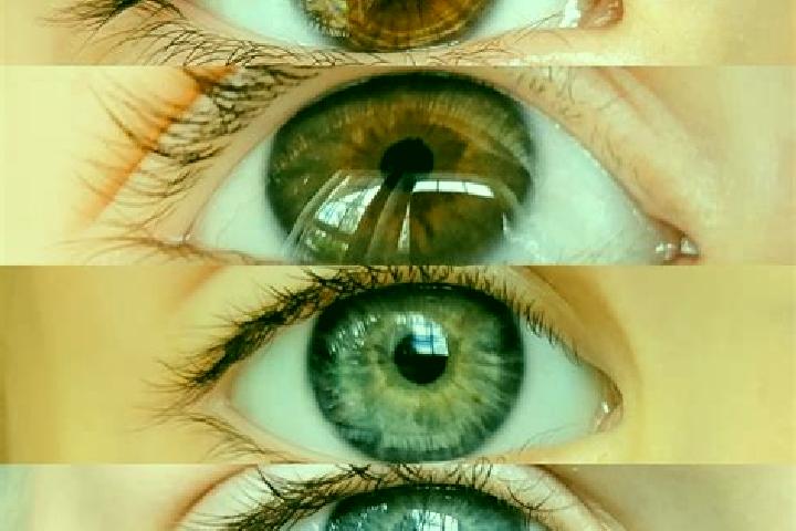 Willow, 37, a chestnut dark-eyed mixed companion based in Vallesaccarda. Offering 69, Massage, Striptease. Available for incall and outcall, day and evening ...
