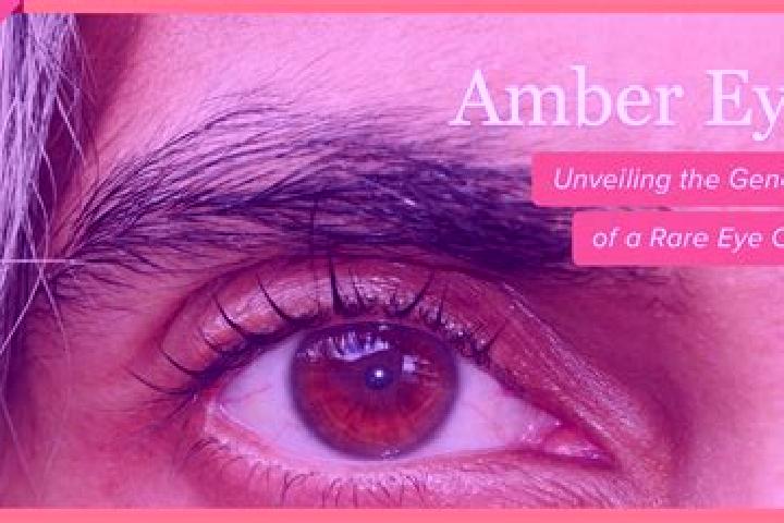 Willow, 37, a red amber-eyed caribbean companion based in Asagi Irmaklar. Offering Fetish, Erotic Massage, Striptease, OWO. Available for incall and outcall,...