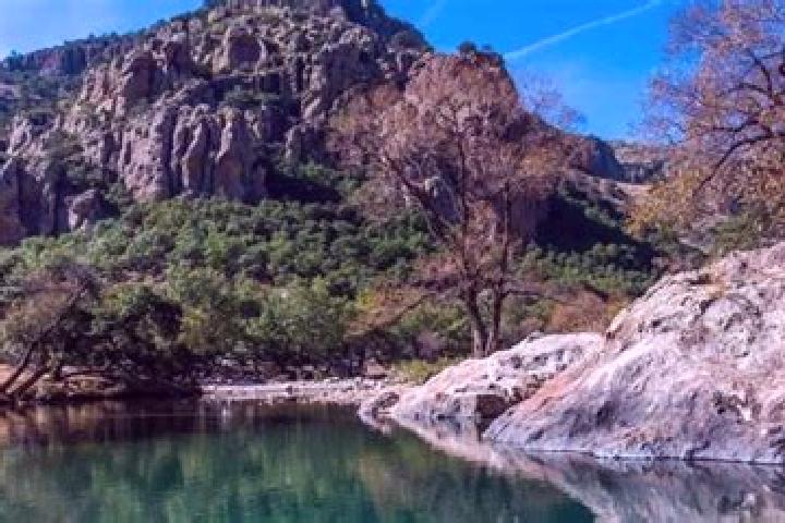 Willow, 37 — Escort in El Charco, Mexico