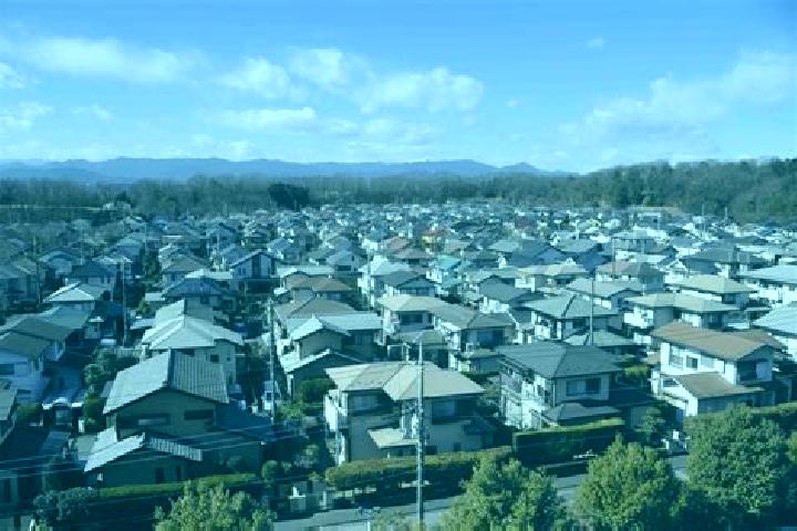 Willow, 37 — Escort in Hatoyama, Japan