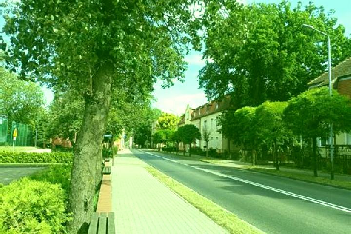 Willow, 37 — Escort in Kalisz Pomorski, Poland