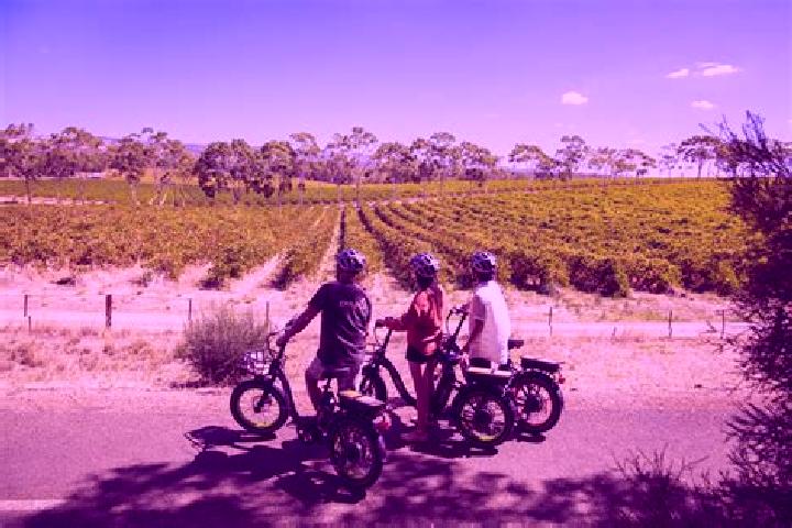 Willow, 37 — Escort in McLaren Vale, Australia