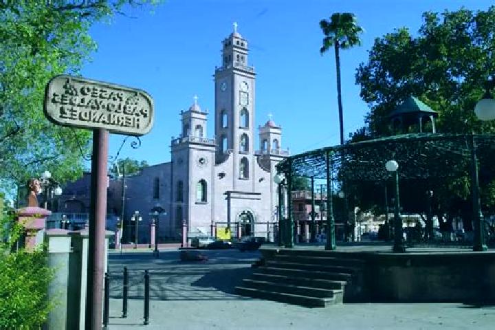 Willow, 37 — Escort in Piedras Blancas (Piedras Blancas Centro), Mexico