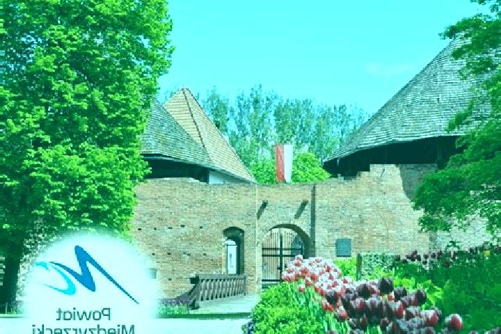 Willow, 37 — Escort in Rychliki, Poland