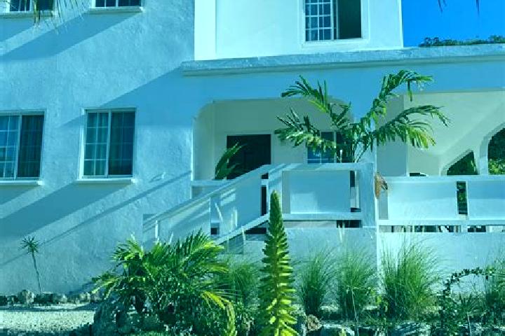 Willow, 37 — Escort in Sandy Ground Village, Anguilla