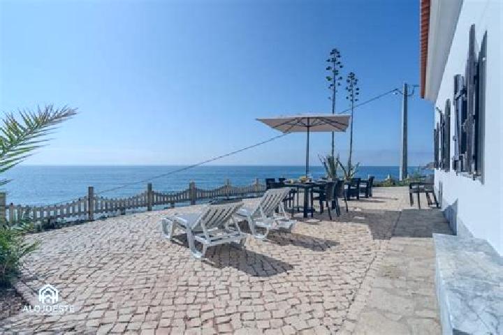 Willow, 37 — Escort in Sao Pedro da Cadeira, Portugal