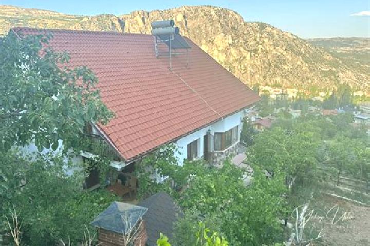 Willow, 37 — Escort in Sariveliler, Turkey