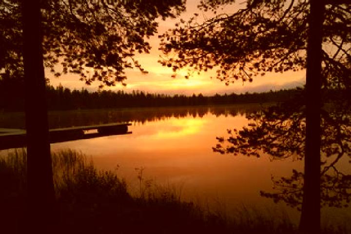 Willow, 37 — Escort in Siikajoki, Finland