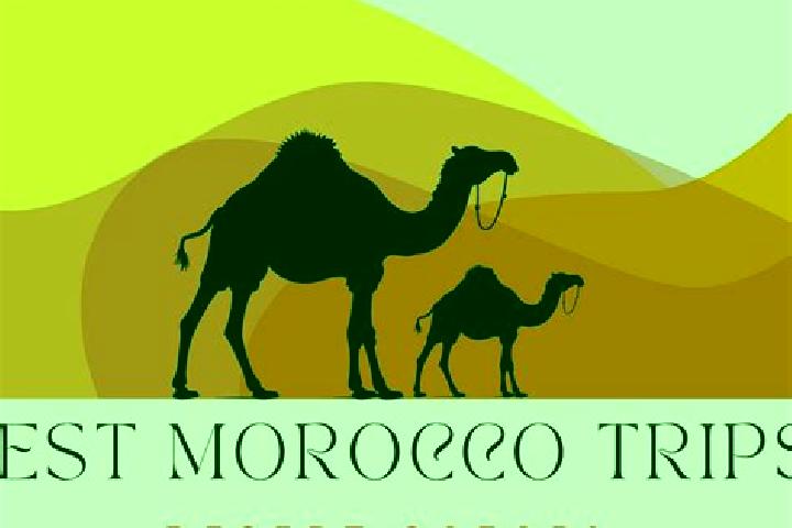 Willow, 37 — Escort in Taineste, Morocco