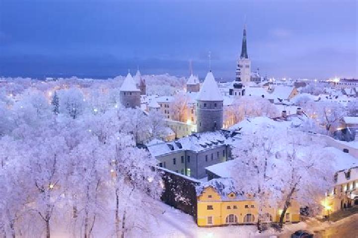 Willow, 37 — Escort in Tallinn, Estonia