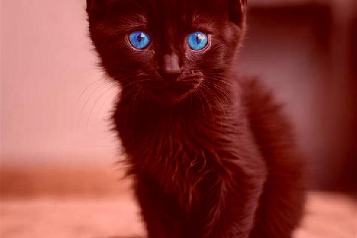 Willow, 38, a black blue-eyed caribbean companion based in Walbrook. Offering CIM, OWO, Couples, 69, Domination. Available for incall and outcall, overnight ...