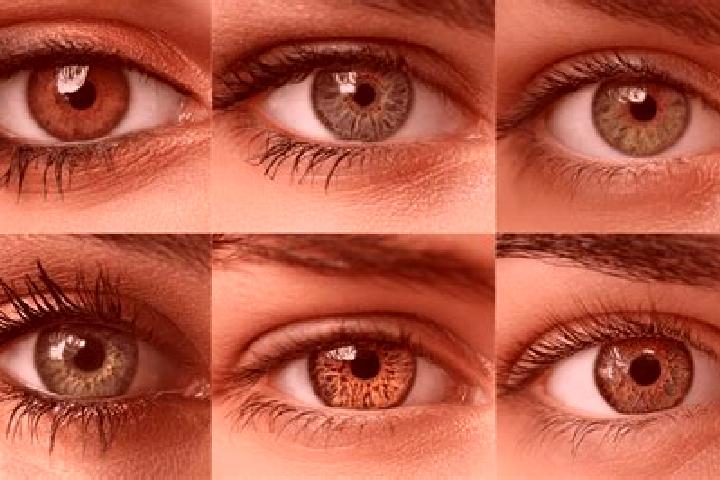 Willow, 38, a red hazel-eyed caucasian companion based in Mill Creek. Offering Tantra, CIM, GFE. Available for incall and outcall, overnight bookings available.