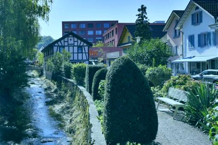 Willow, 38 — Escort in Affoltern / Hasenbueel, Switzerland