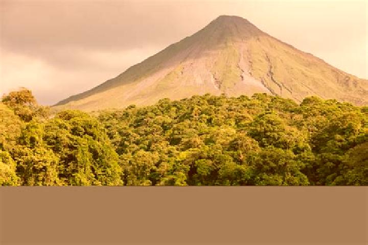 Willow, 38 — Escort in Arenal, Honduras