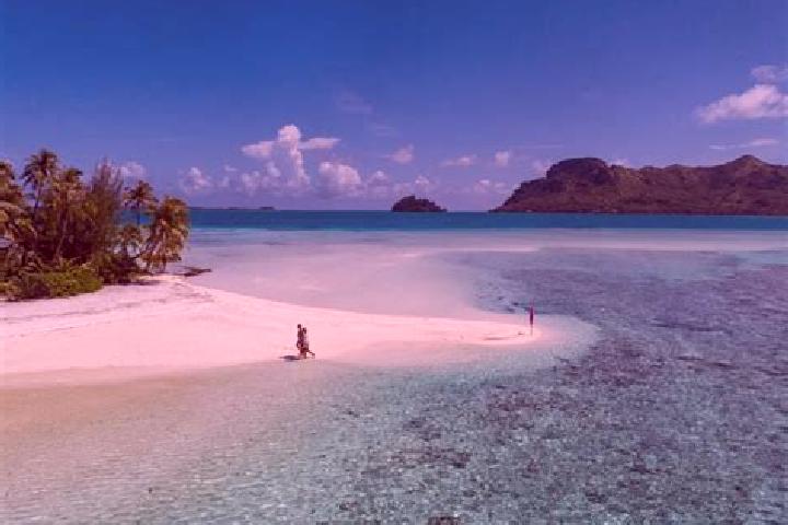 Willow, 38 — Escort in Arue, French Polynesia