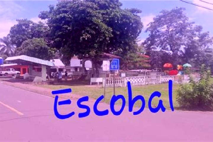 Willow, 38 — Escort in Escobal, Panama