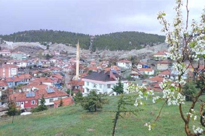 Willow, 38 — Escort in Goeynuecek, Turkey