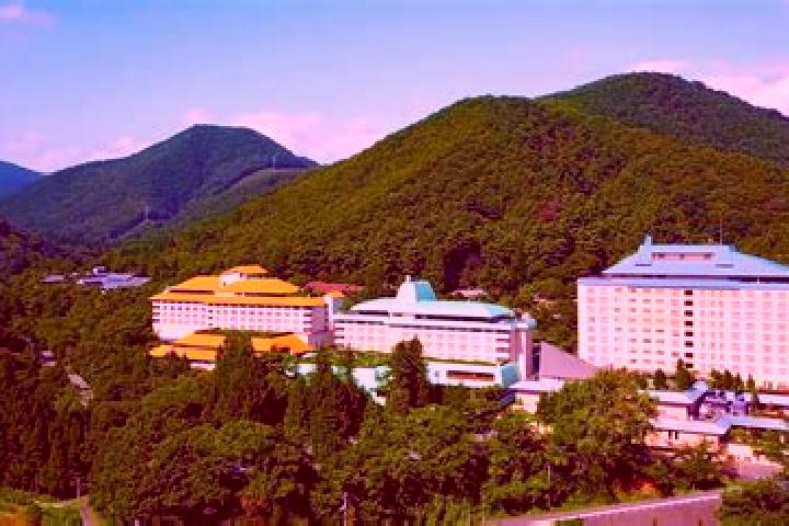 Willow, 38 — Escort in Hanamaki, Japan