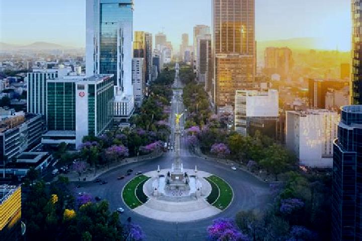 Willow, 38 — Escort in La Curva Tlaltzintla, Mexico
