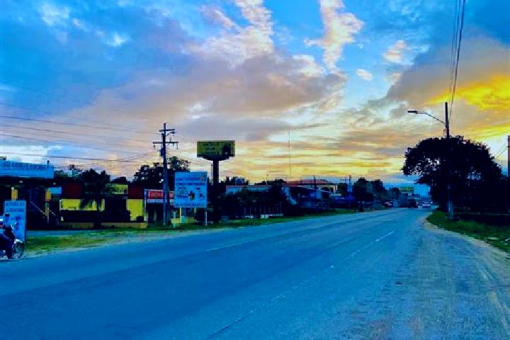 Willow, 38 — Escort in La Masica, Honduras