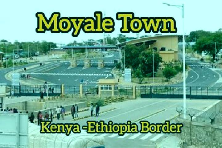 Willow, 38 — Escort in Moyale, Kenya