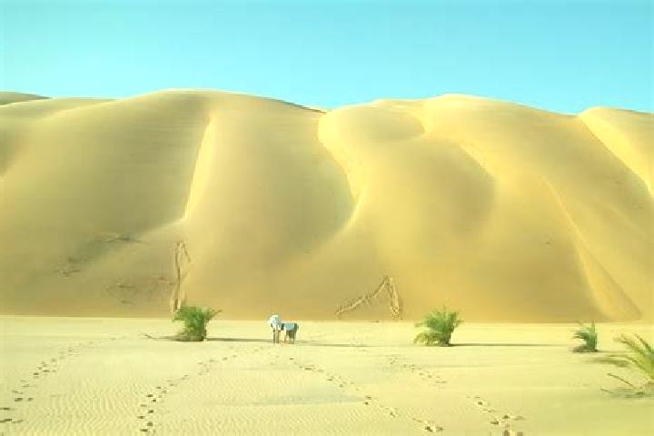 Willow, 38 — Escort in Ouad Naga, Mauritania