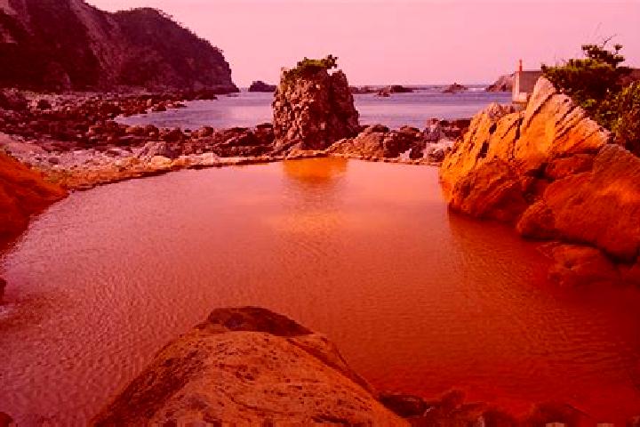 Willow, 38 — Escort in Shikinejima, Japan