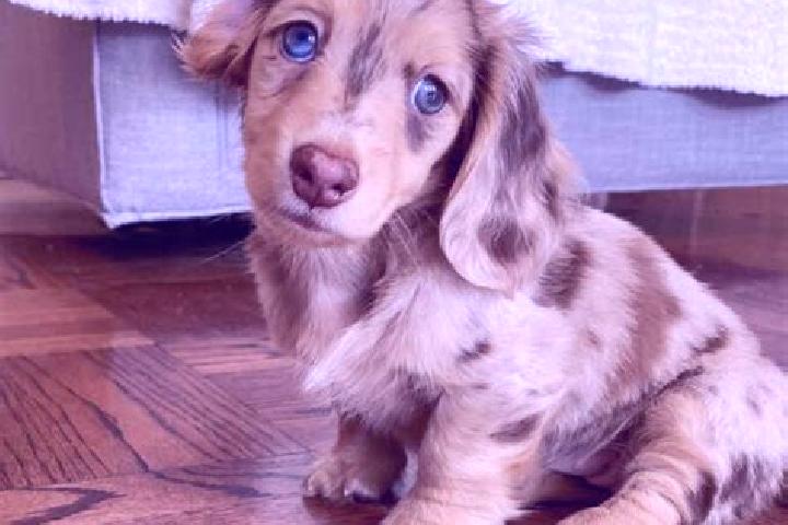 Willow, 39, a red blue-eyed mixed companion based in Darcheh Abed. Offering Travel Companion, Deep French Kissing, BDSM. Available for incall and outcall, ov...