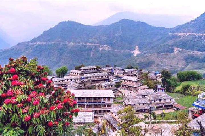 Willow, 39 — Escort in Achham, Nepal