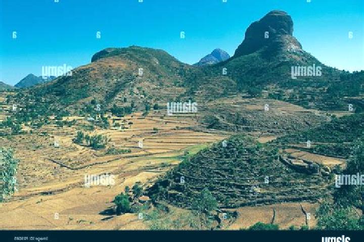 Willow, 39 — Escort in Adigrat, Ethiopia