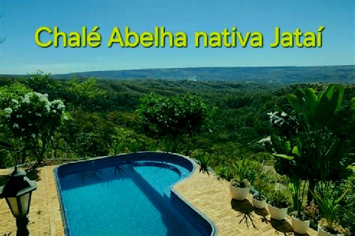 Willow, 39 — Escort in Jatai, Brazil