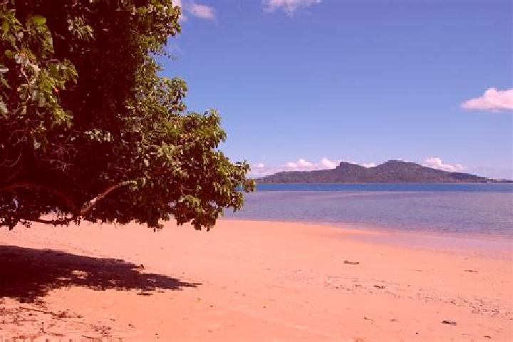 Willow, 39 — Escort in Kani-Keli, Mayotte