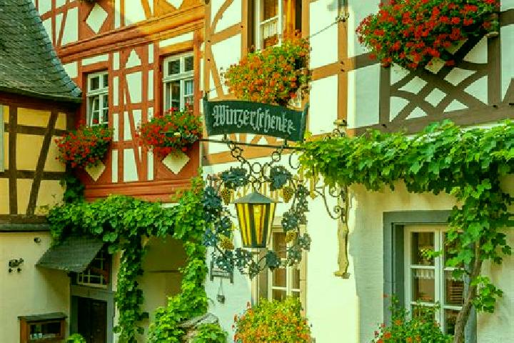 Willow, 39 — Escort in Kotzenbull, Germany