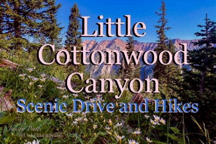 Willow, 39 — Escort in Little Cottonwood Creek Valley, United States